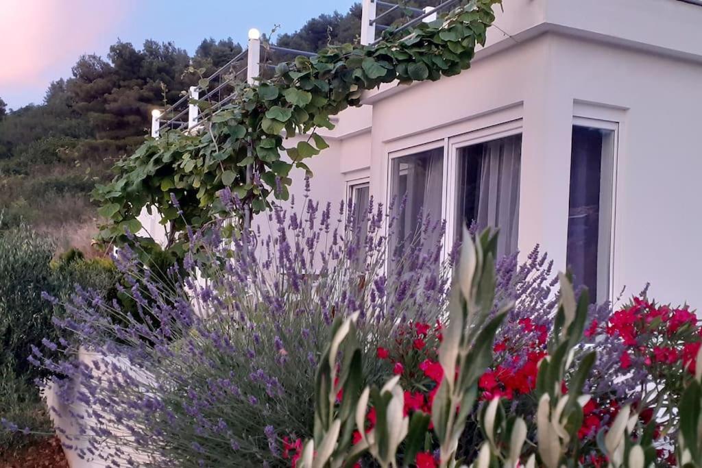 Vis - Luxury Holiday Villa With Swimming Pool Exterior photo